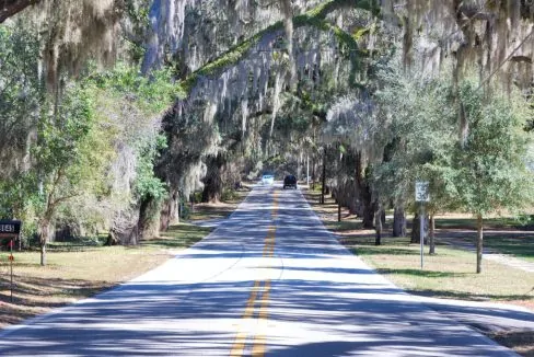 Eerie_Spanish_Moss-Laden_Trees_on_a_Canopied_Road_in_Inverness_Florida_terrenosnaflorida-com_shutterstock_30840178_1200x680