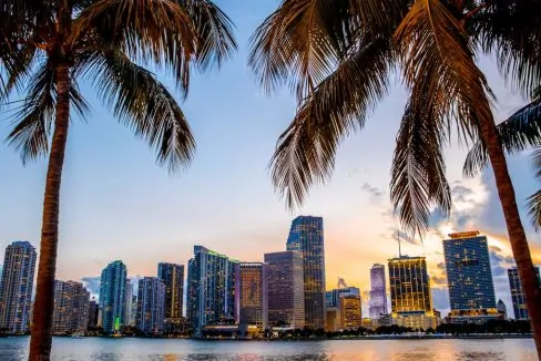Miami_Florida_skyline_and_bay_at_sunset_seen_through_palm_trees_terrenosnaflorida-com_shutterstock_428711317_1200x680