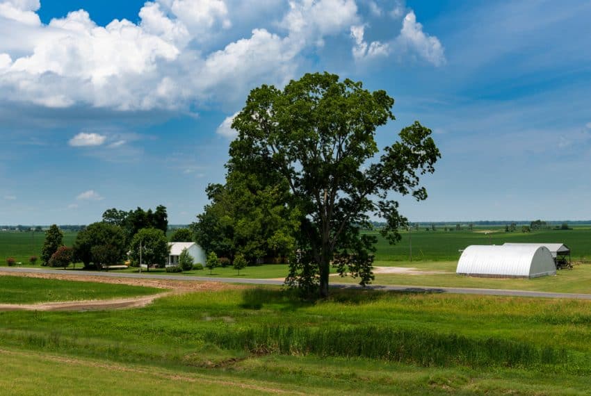 View_of_a_farm_in_a_rural_area_of_the_State_of_Mississippi_near_the_Mississippi_river_USA_terrenosnaflorida-com_shutterstock_1259485777_1200x680