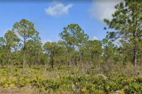 Los Olas Drive,Punta Gorda,Fl 1