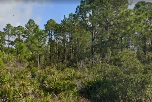 Los Olas Drive,Punta Gorda,Fl 2